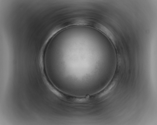 X0000113310843200909141310