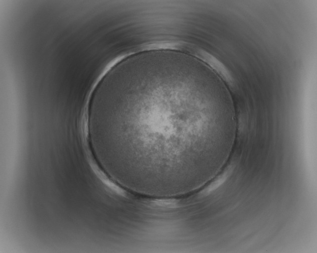 X0000113310844200909141310