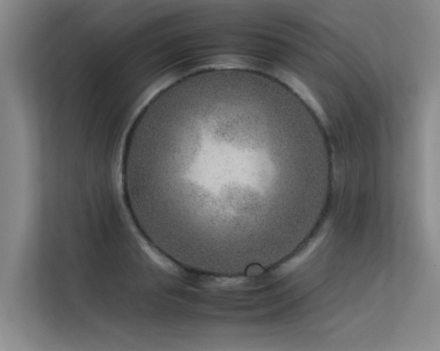 X0000113310845200909141310