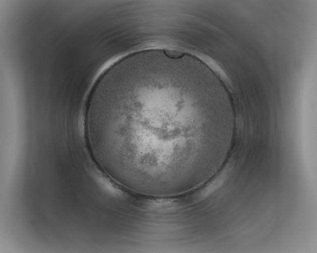 X0000113310846200909141310