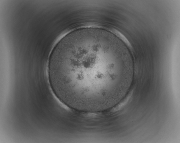 X0000113310847200909141310