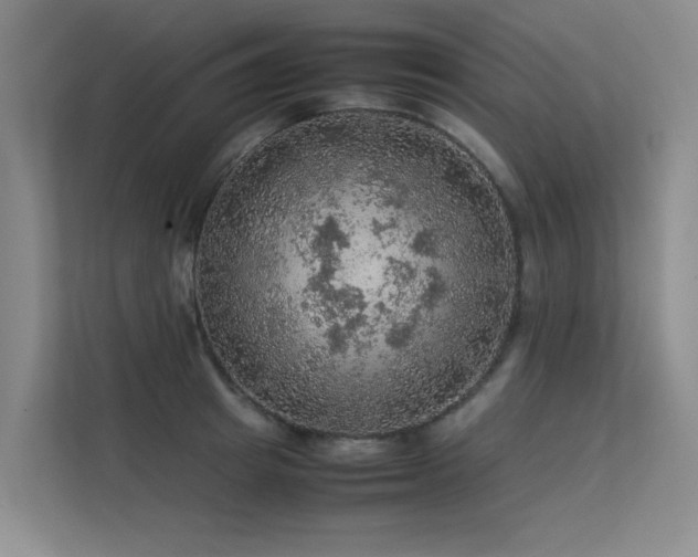 X0000113310849200909141310