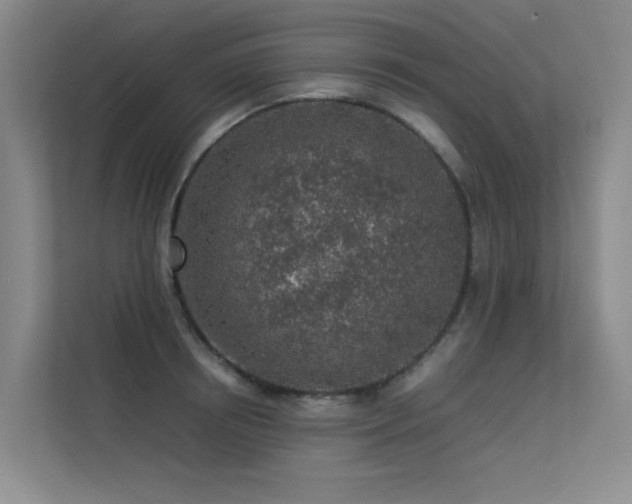 X0000113310850200909141310