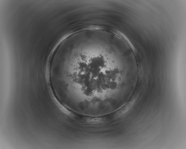 X0000113310851200909141310