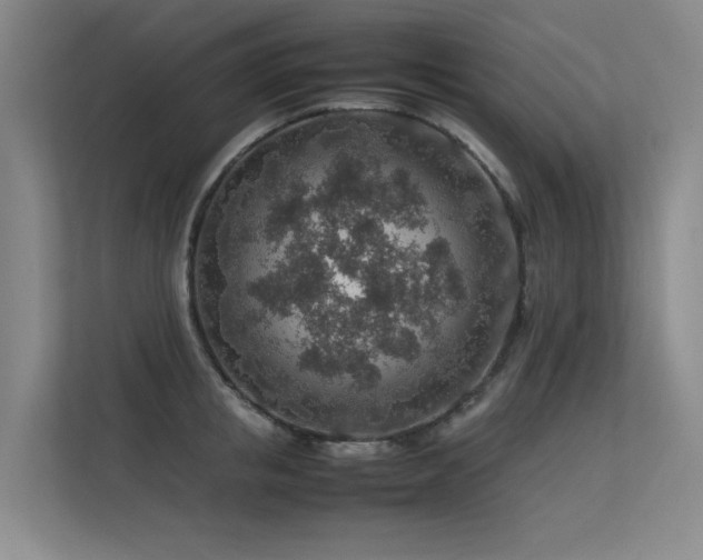 X0000113310853200909141310