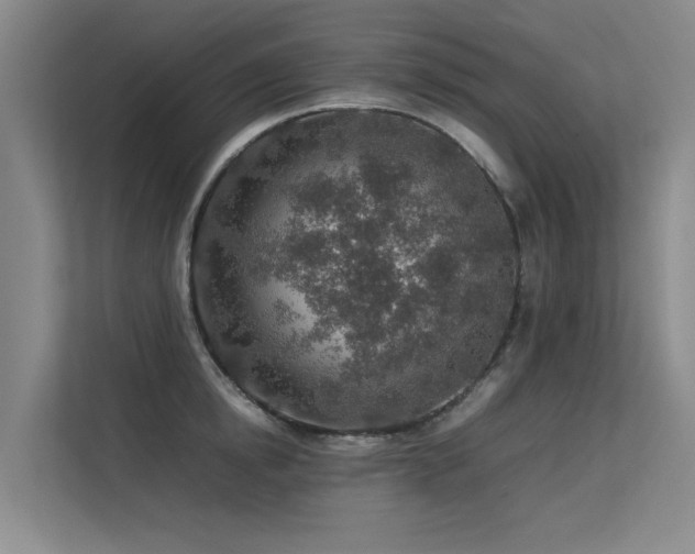 X0000113310854200909141310