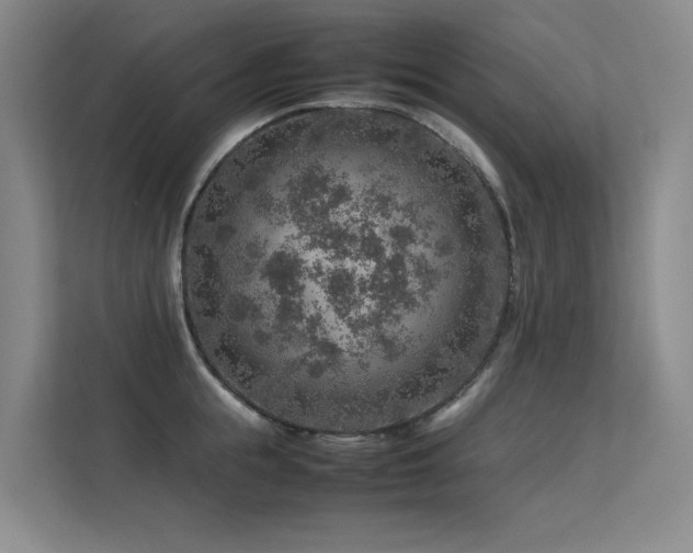 X0000113310855200909141310