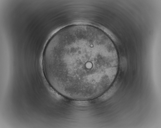 X0000113310856200909141310