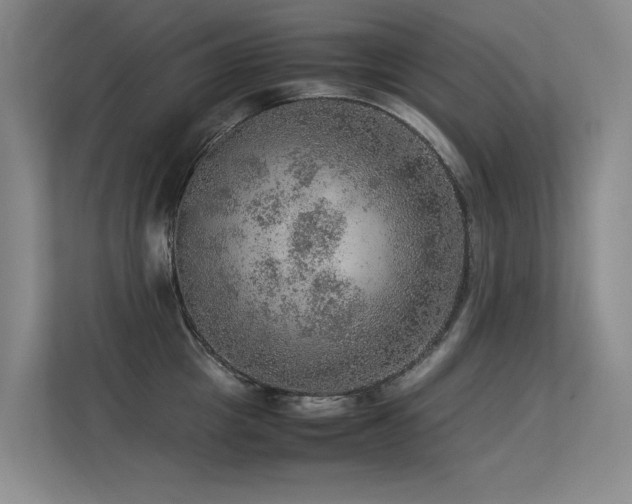 X0000113310857200909141310