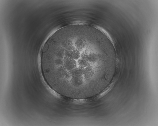 X0000113310859200909141310