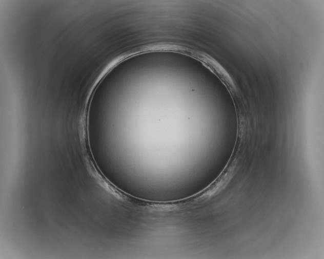 X0000113310860200909141310