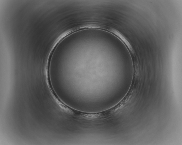 X0000113310861200909141310