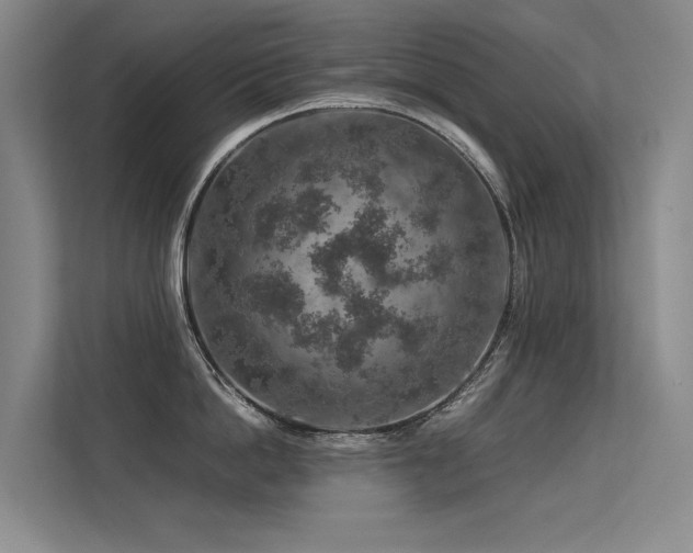 X0000113310862200909141310