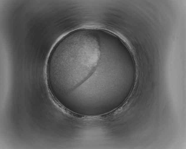 X0000113310864200909141310