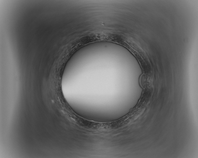 X0000113310865200909141310