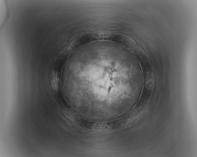 X0000113310866200909141310