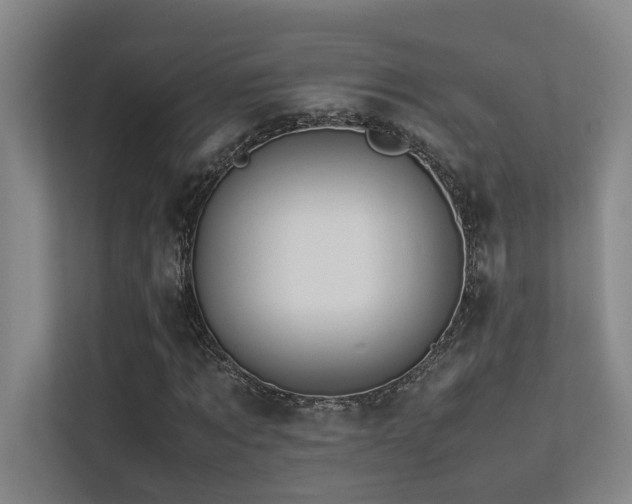 X0000113310869200909141310