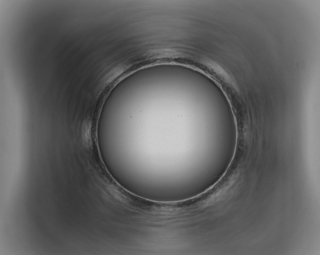 X0000113310873200909141310