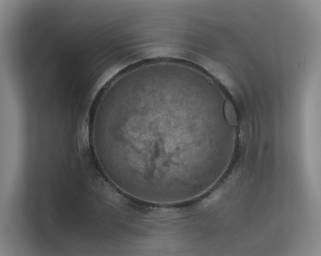 X0000113310877200909141310