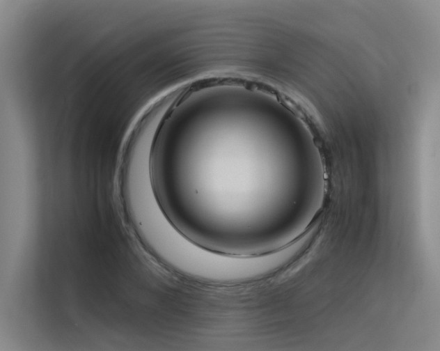 X0000113310880200909141309