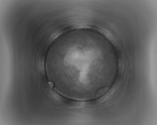 X0000113310881200909141309