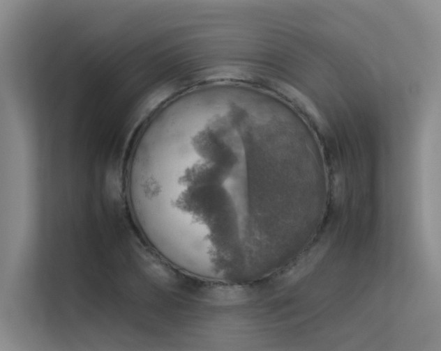 X0000113310882200909141309