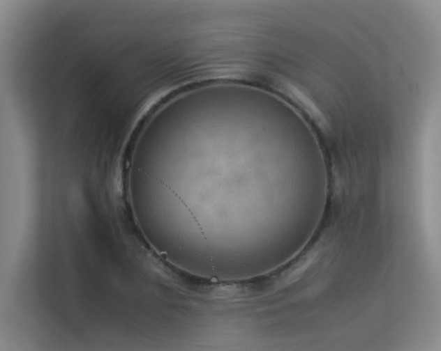 X0000113310883200909141309