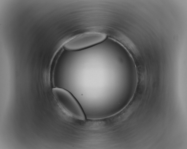 X0000113310884200909141309