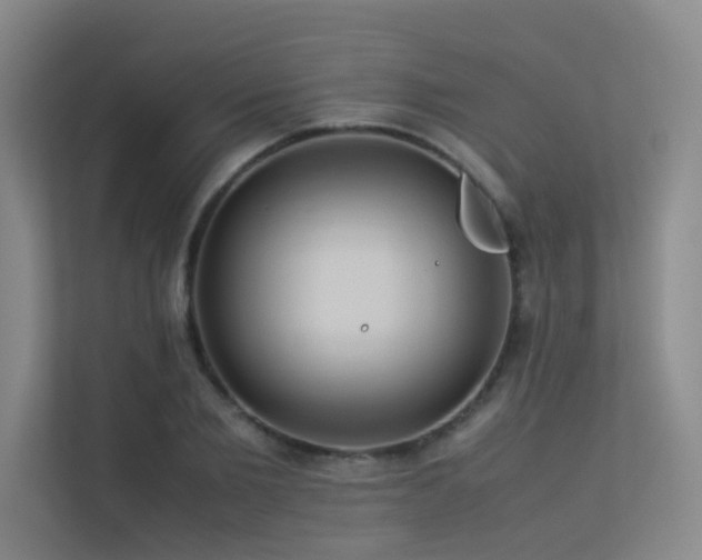 X0000113310885200909141309