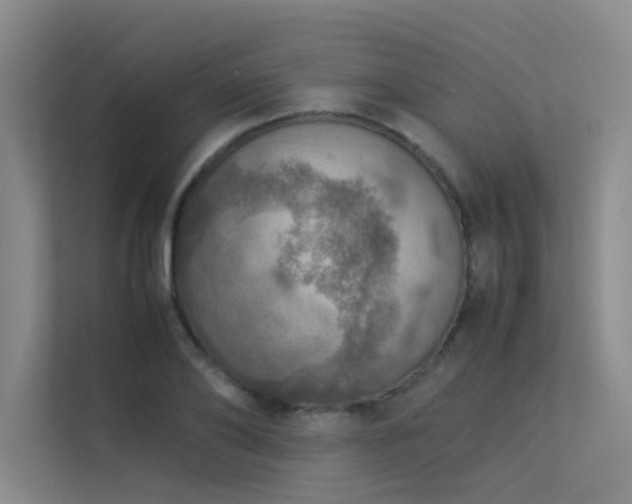 X0000113310886200909141309