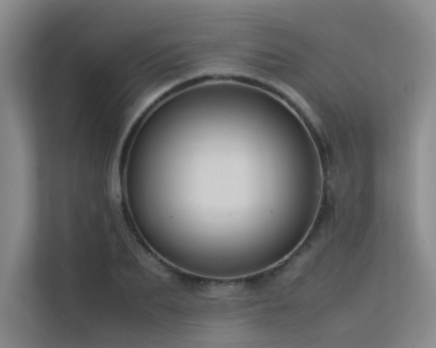 X0000113310887200909141309