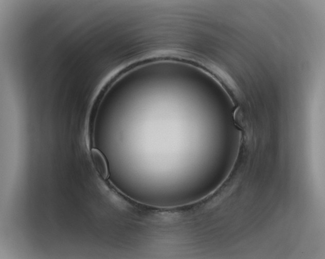 X0000113310888200909141309