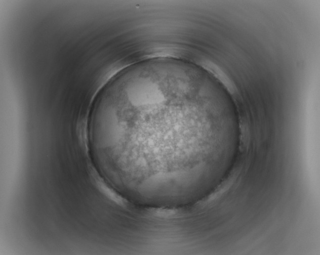 X0000113310890200909141309