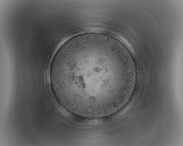 X0000113310891200909141309