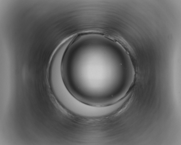 X0000113310892200909141309