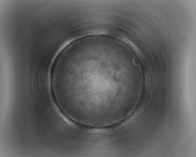 X0000113310894200909141309