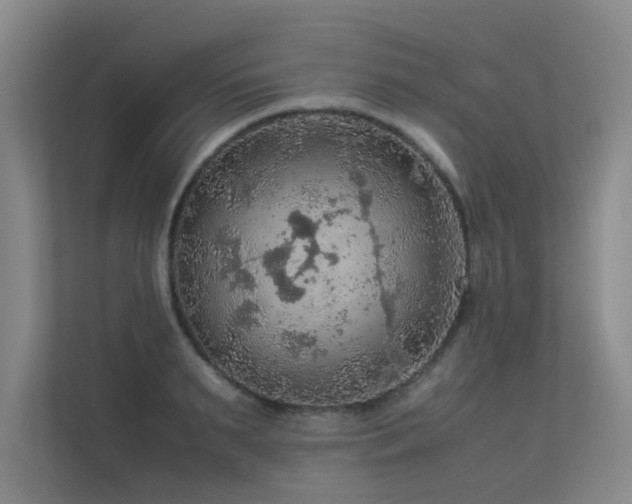 X0000113310895200909141309