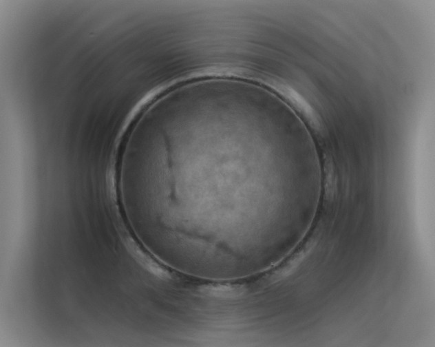 X0000113310896200909141309