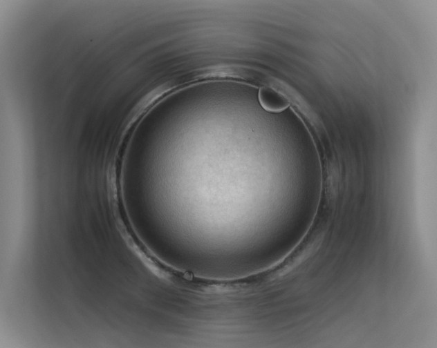 X0000113310898200909141309