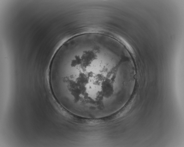 X0000113310899200909141309