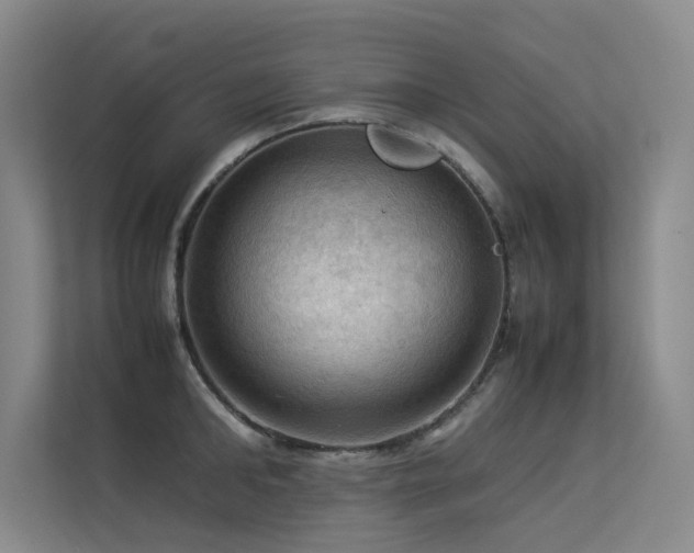 X0000113310902200909141309