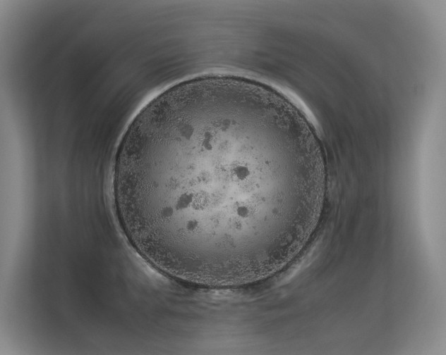 X0000113310903200909141309