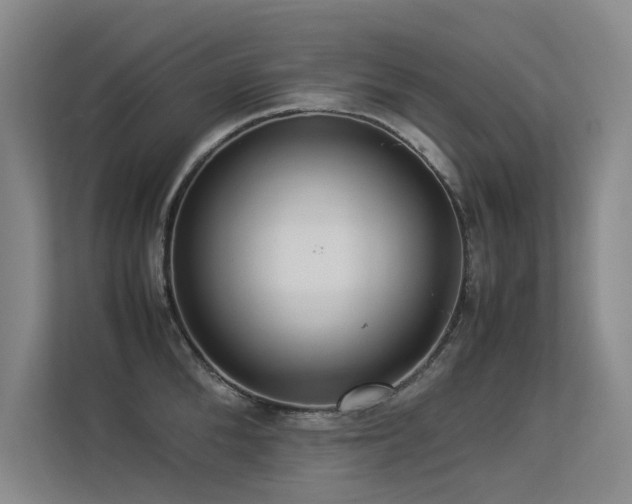 X0000113310904200909141309