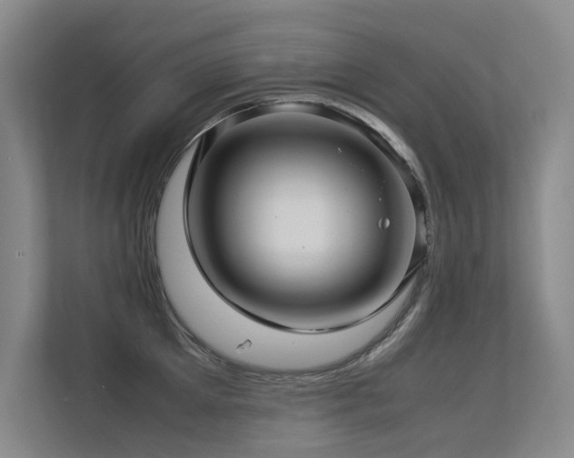 X0000113310905200909141309