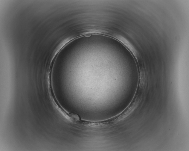 X0000113310906200909141309