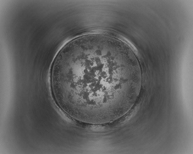 X0000113310907200909141309