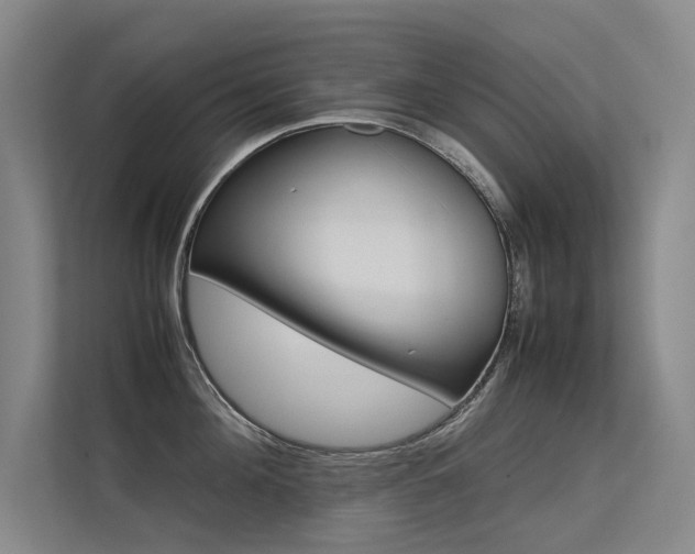 X0000113310908200909141309