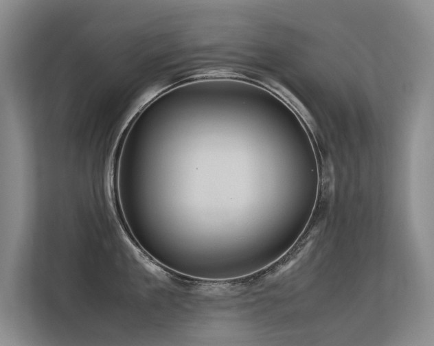 X0000113310909200909141309