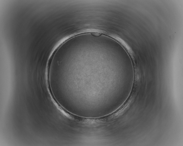 X0000113310910200909141309