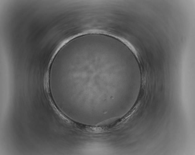 X0000113310911200909141309